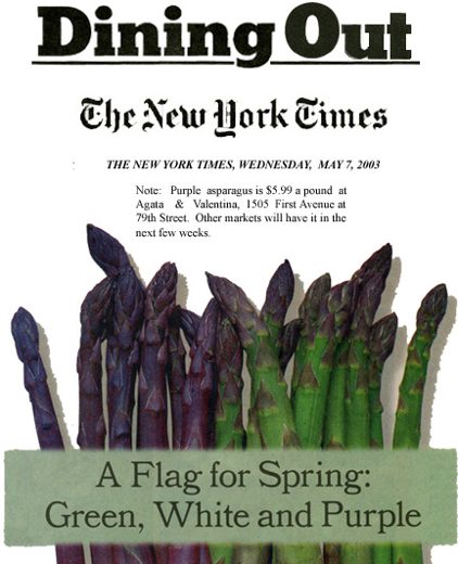 Press clipping: A Flag For Spring — New York Times